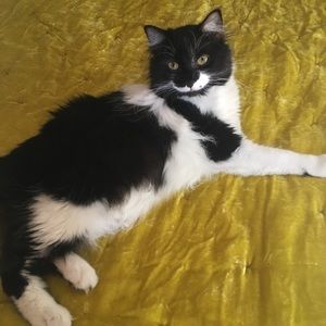 Meet your Posher, John